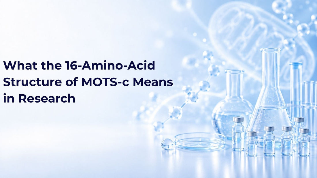 What the 16-Amino-Acid Structure of MOTS-c Means in Research