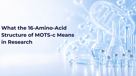 What the 16-Amino-Acid Structure of MOTS-c Means in Research