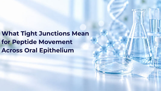 What Tight Junctions Mean for Peptide Movement Across Oral Epithelium