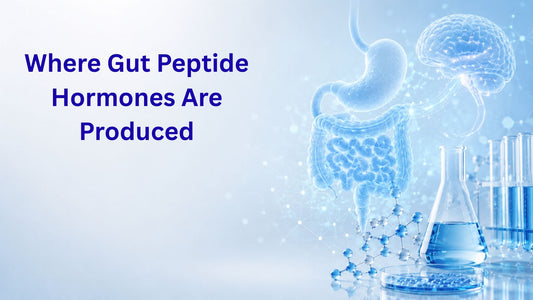 Where Gut Peptide Hormones Are Produced