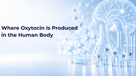 Where Oxytocin Is Produced in the Human Body