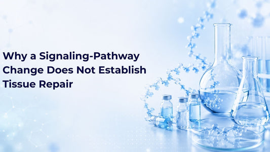 Why a Signaling-Pathway Change Does Not Establish Tissue Repair