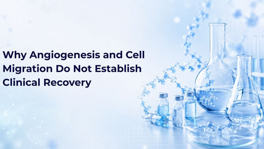 Why Angiogenesis and Cell Migration Do Not Establish Clinical Recovery