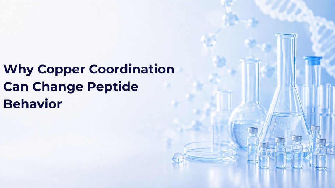 Why Copper Coordination Can Change Peptide Behavior