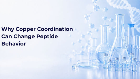 Why Copper Coordination Can Change Peptide Behavior