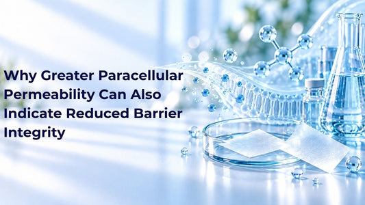 Why Greater Paracellular Permeability Can Also Indicate Reduced Barrier Integrity