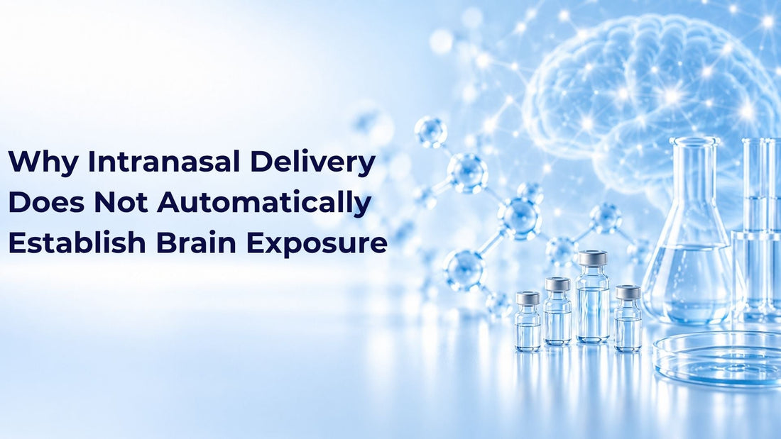 Why Intranasal Delivery Does Not Automatically Establish Brain Exposure
