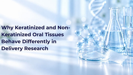 Why Keratinized and Non-Keratinized Oral Tissues Behave Differently in Delivery Research