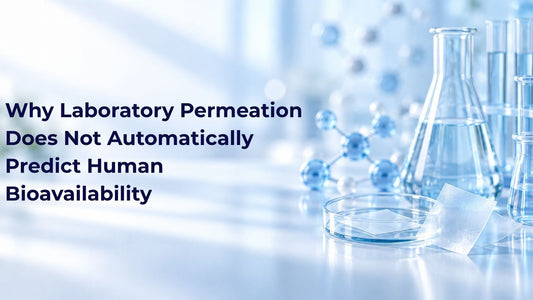 Why Laboratory Permeation Does Not Automatically Predict Human Bioavailability