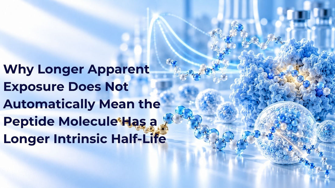 Why Longer Apparent Exposure Does Not Automatically Mean the Peptide Molecule Has a Longer Intrinsic Half-Life