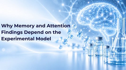 Why Memory and Attention Findings Depend on the Experimental Model