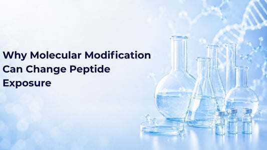 Why Molecular Modification Can Change Peptide Exposure