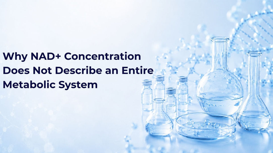 Why NAD+ Concentration Does Not Describe an Entire Metabolic System