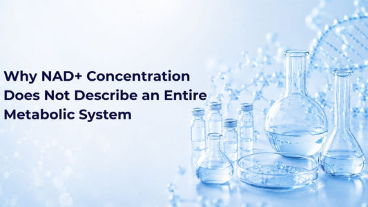 Why NAD+ Concentration Does Not Describe an Entire Metabolic System