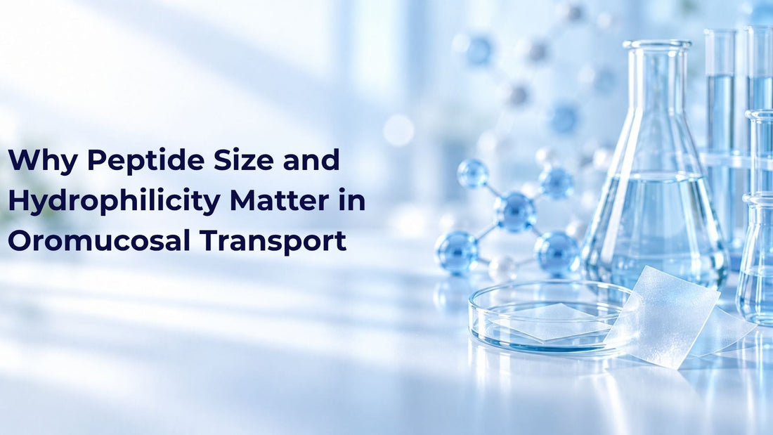 Why Peptide Size and Hydrophilicity Matter in Oromucosal Transport
